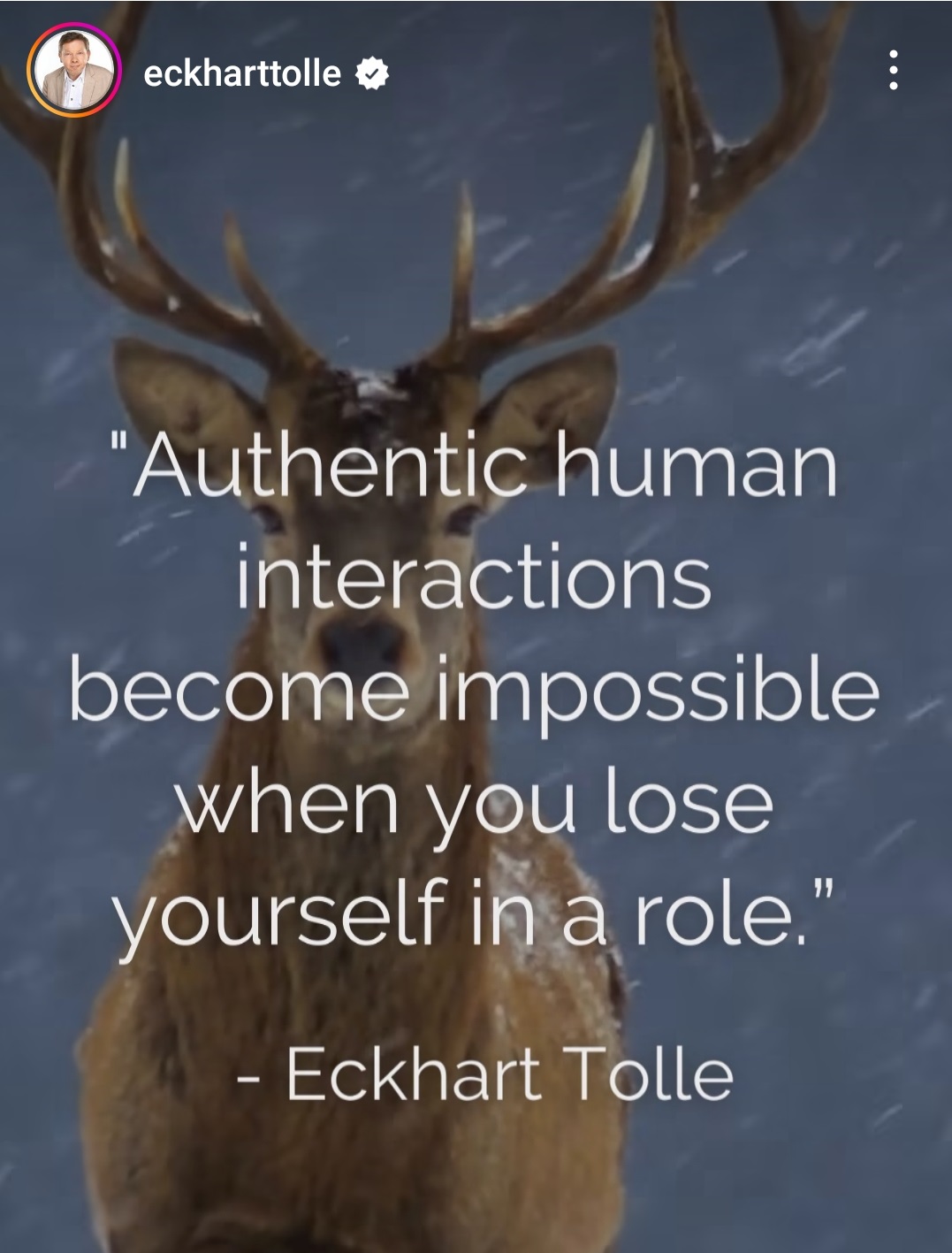 TolleQUOTE_Relationships_CROP