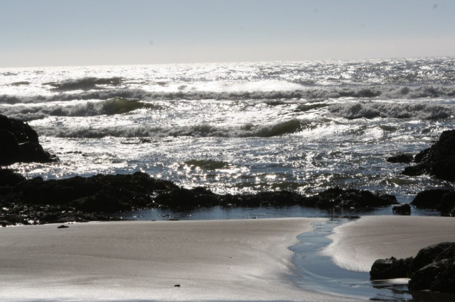 I absolutely LOVE visiting the coast and walking along the beach!