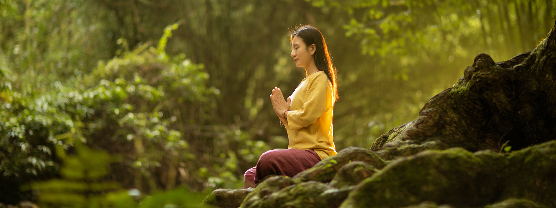 WomanMeditating_Nature_pexels-shu-lei_1800px