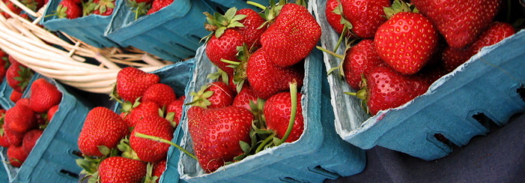 BasketsOfStrawberries_ThinCROP-1024x357