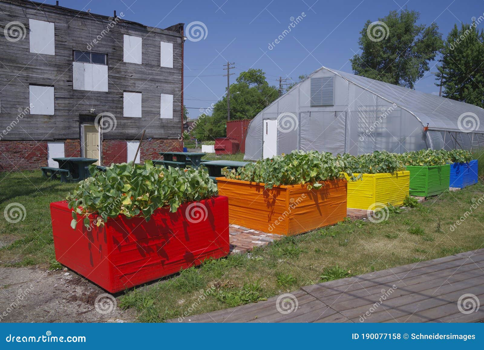 Detroit_beautiful-garden-containers-food-various-bright-colored-vegetable-garden-containers-growing-inner-city-food-above-ground-190077158